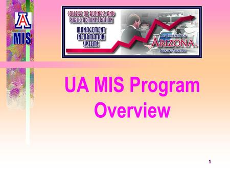 1 UA MIS Program Overview. 2 Vision for UA-MIS To establish leadership in information technology education, research and outreach that accentuate innovation,