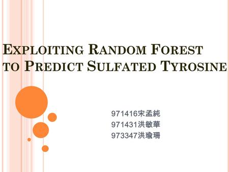 E XPLOITING R ANDOM F OREST TO P REDICT S ULFATED T YROSINE 971416 宋孟純 971431 洪敏華 973347 洪瑜珊.