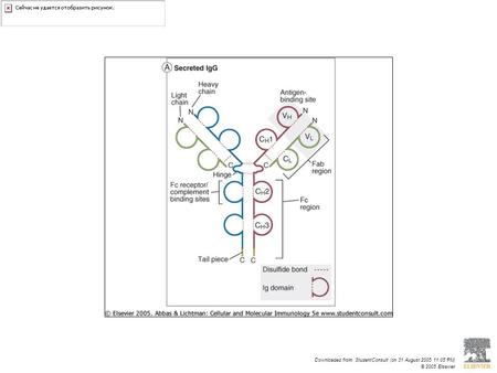 Downloaded from: StudentConsult (on 31 August 2005 11:05 PM) © 2005 Elsevier.