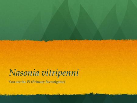 Nasonia vitripenni You are the PI ( P rimary I nvestigator)