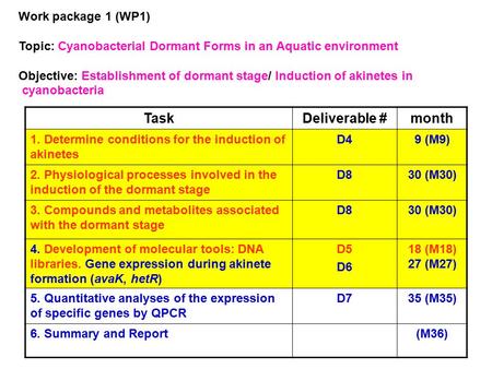 Work package 1 (WP1) Topic: Cyanobacterial Dormant Forms in an Aquatic environment Objective: Establishment of dormant stage/ Induction of akinetes in.