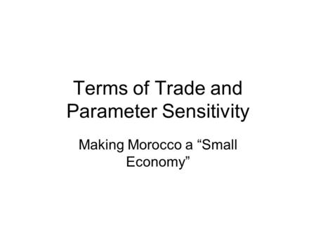 Terms of Trade and Parameter Sensitivity Making Morocco a “Small Economy”