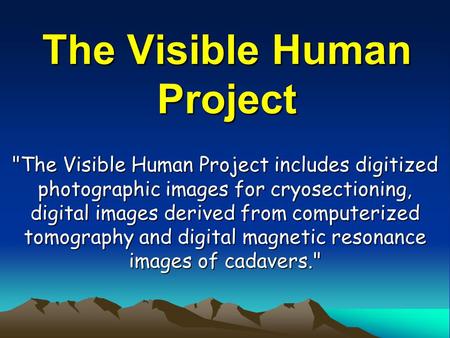 The Visible Human Project The Visible Human Project includes digitized photographic images for cryosectioning, digital images derived from computerized.