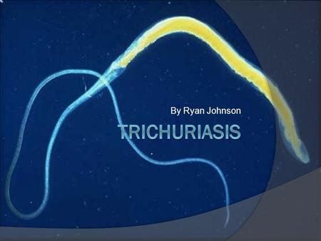 By Ryan Johnson. General Overview  NTD  >20% of human population infected  Locally underestimated  Public health crucial.