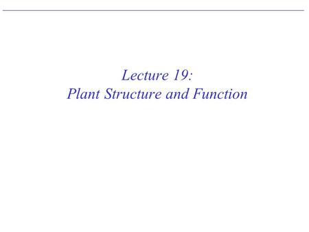 Lecture 19: Plant Structure and Function