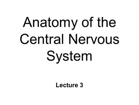 Anatomy of the Central Nervous System