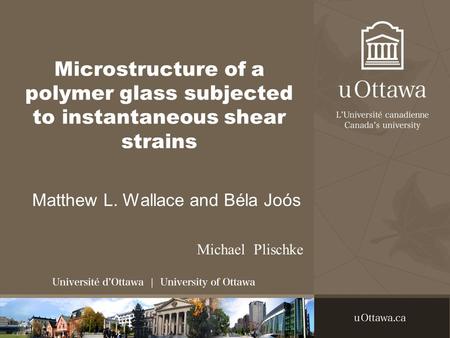 Microstructure of a polymer glass subjected to instantaneous shear strains Matthew L. Wallace and Béla Joós Michael Plischke.