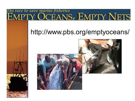 Http://www.pbs.org/emptyoceans/.