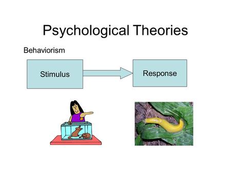 Psychological Theories