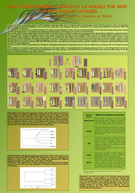 PLANT DEVELOPMENTAL MUTANTS AS MODELS FOR CROP SYSTEMS BIOLOGY STUDIES FACCIOLI P., BALDASSARRE V., PAGANI D., STANCA A.M., TERZI V. CRA-CPG Genomic Research.