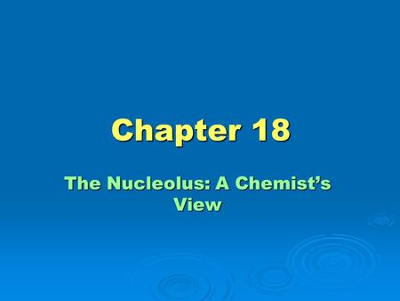 The Nucleolus: A Chemist’s View