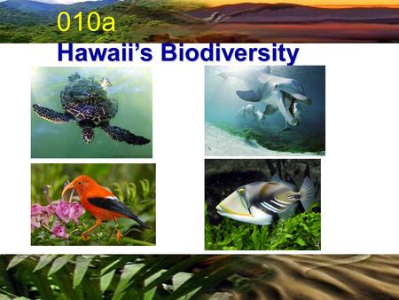 010a Hawaii’s Biodiversity. ENDEMIC Occurring exclusively in a given geographic area, having originated in that area through natural means. Hawaiian Cleaner.