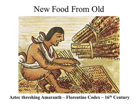 New Food From Old Aztec threshing Amaranth – Florentine Codex – 16th Century.