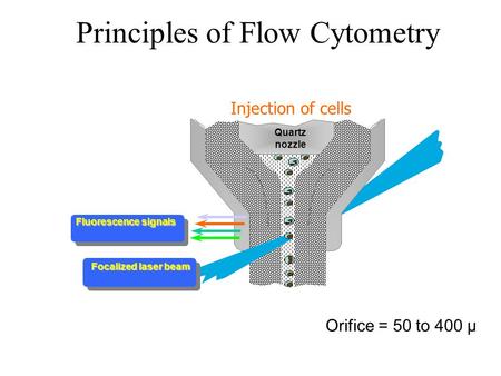 Principles of Flow Cytometry