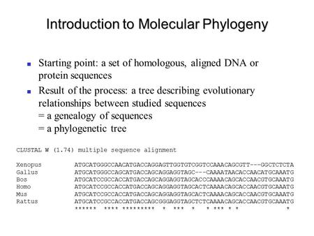 Introduction to Molecular Phylogeny Starting point: a set of homologous, aligned DNA or protein sequences Result of the process: a tree describing evolutionary.