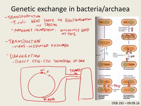 Genetic exchange in bacteria/archaea OEB 192 – 09.09.16.