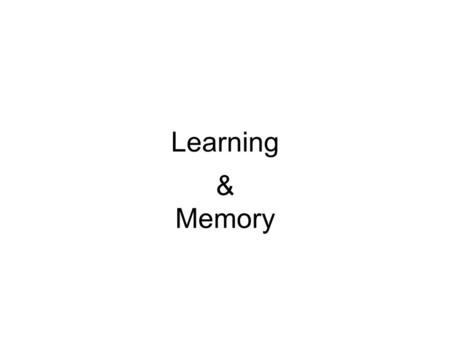 Learning & Memory. Learning Change in behavior or mental processes due to experience Allows us to adapt to our environment.