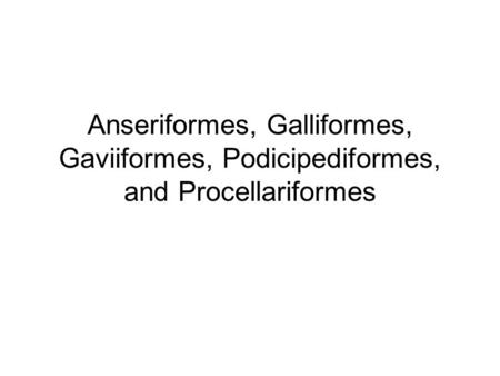 Anseriformes, Galliformes, Gaviiformes, Podicipediformes, and Procellariformes.