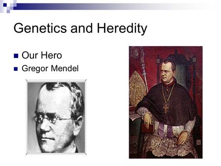 Genetics and Heredity Our Hero Gregor Mendel. Mendle’s Pea Experiment Height-Tall vs Short Seed Shape-Round vs Wrinkled Seed Color-Yellow vs green Flower.