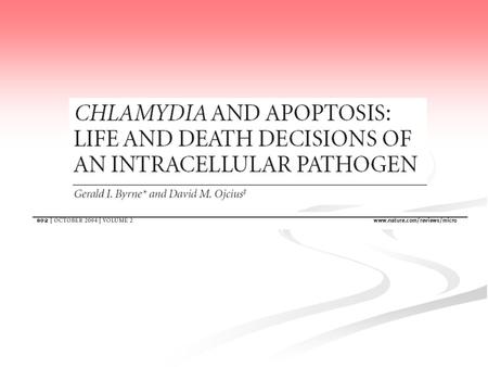 Chlamydiae Obligate intracellular pathogens. Obligate intracellular pathogens. Acute and/or persistent infections. Acute and/or persistent infections.