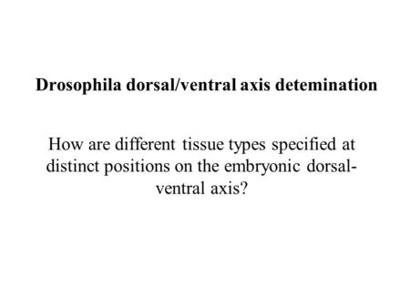 Drosophila dorsal/ventral axis detemination