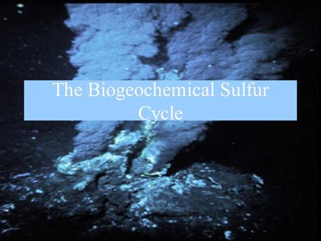 The Biogeochemical Sulfur Cycle