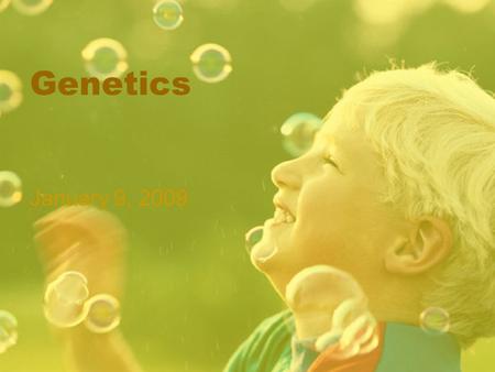 Genetics January 9, 2009. Dihybrid Crosses Dihybrid crosses are the comparison of genetic makeup for ________________. EX: color and shape. Mendel used.