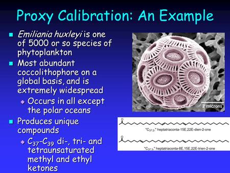 Proxy Calibration: An Example Emiliania huxleyi is one of 5000 or so species of phytoplankton Emiliania huxleyi is one of 5000 or so species of phytoplankton.