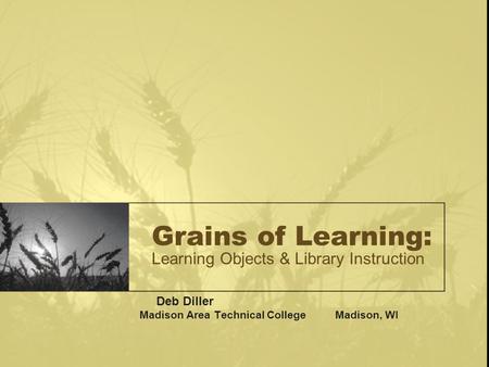 Grains of Learning: Learning Objects & Library Instruction Deb Diller Madison Area Technical CollegeMadison, WI.