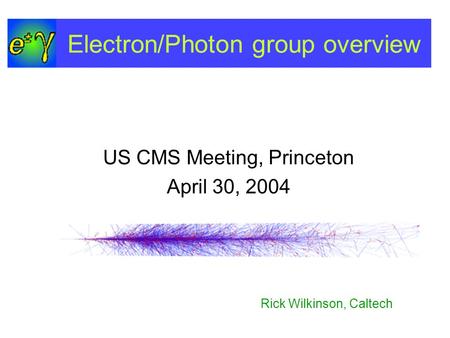 Electron/Photon group overview US CMS Meeting, Princeton April 30, 2004 Rick Wilkinson, Caltech.