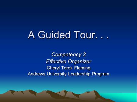 A Guided Tour... Competency 3 Effective Organizer Cheryl Torok Fleming Andrews University Leadership Program.