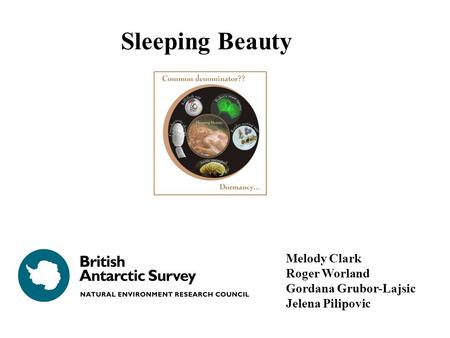 Melody Clark Roger Worland Gordana Grubor-Lajsic Jelena Pilipovic Sleeping Beauty.