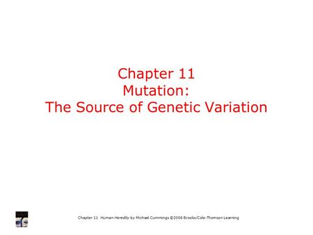 Chapter 11 Human Heredity by Michael Cummings ©2006 Brooks/Cole-Thomson Learning Chapter 11 Mutation: The Source of Genetic Variation.