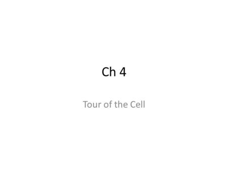 Ch 4 Tour of the Cell. Microscopic Worlds Microscopes led to the discovery of the cell – Light microscopes – Cell membrane - yes – Large macromolecules.