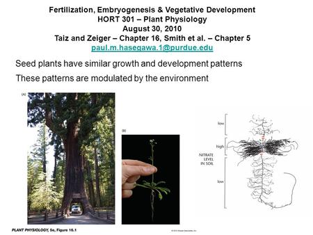 Taiz and Zeiger – Chapter 16, Smith et al. – Chapter 5