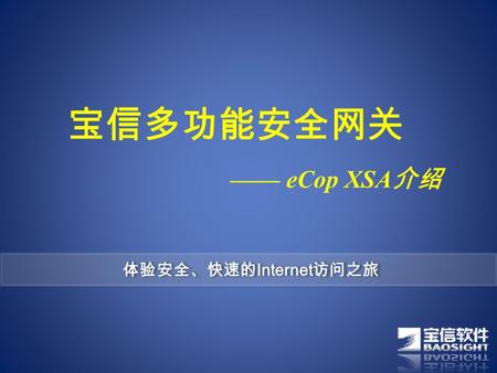 宝信多功能安全网关 —— eCop XSA 介绍 体验安全、快速的 Internet 访问之旅. eCop XSA 安全设备是基于高级应用层防火墙、虚拟专用网络 (VPN) 和 Web 缓存的解 决方案，它能够改善客户网络的安全和性能，并具有适应安全需求持续增长的可扩展 性，为用户提供了完善、全面的边界防护解决方案。