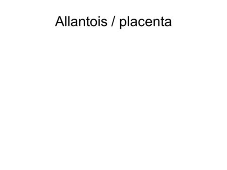 Allantois / placenta. Figure 2.22 The Amniote Chick Egg, Showing the Membranes Enfolding the 7-Day Embryo Chick Embryo.