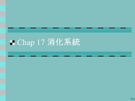 514 Chap 17 消化系統. 515 The Digestive System Digestive tract Oral cavity Pharynx Stomach Small intestine Large intestine Accessory organs Salivary glands.