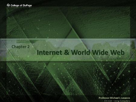 Professor Michael J. Losacco CIS 1110 – Using Computers Internet & World Wide Web Chapter 2.