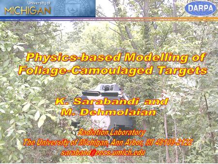 Physics-based Modelling of Foliage-Camoulaged Targets