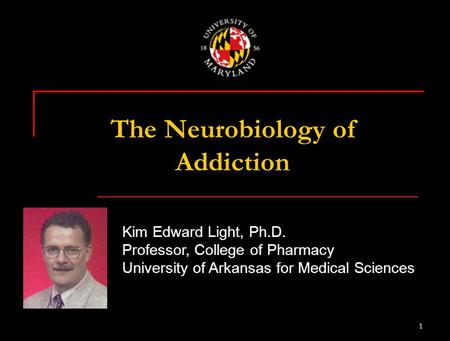 The Neurobiology of Addiction