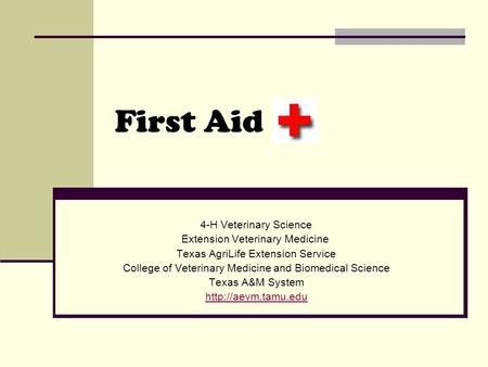 First Aid 4-H Veterinary Science Extension Veterinary Medicine