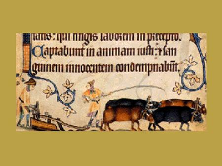 Piers Plowman Trinity College, Cambridge MS B.15.17 (W)