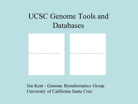 UCSC Genome Tools and Databases Jim Kent - Genome Bioinformatics Group University of California Santa Cruz.