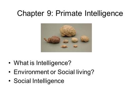 Chapter 9: Primate Intelligence What is Intelligence? Environment or Social living? Social Intelligence.