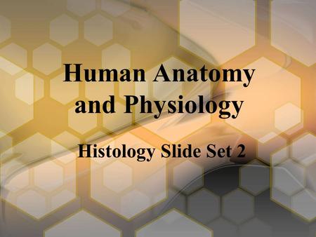 Human Anatomy and Physiology