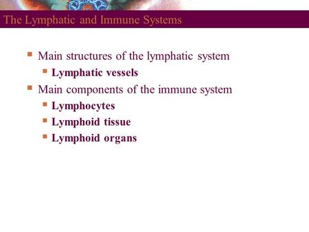 The Lymphatic and Immune Systems