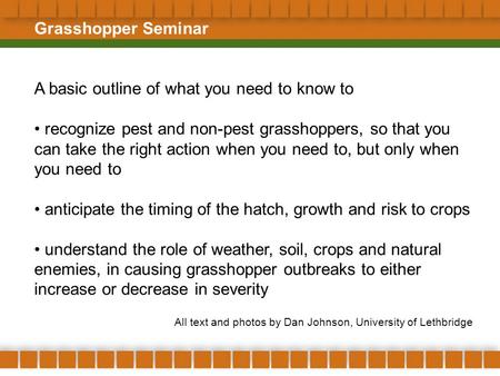 Grasshopper Seminar A basic outline of what you need to know to recognize pest and non-pest grasshoppers, so that you can take the right action when you.