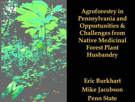 Agroforestry in Pennsylvania and Opportunities & Challenges from Native Medicinal Forest Plant Husbandry Eric Burkhart Mike Jacobson Penn State.