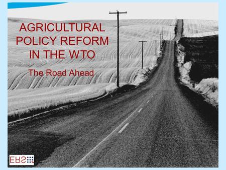 AGRICULTURAL POLICY REFORM IN THE WTO The Road Ahead.